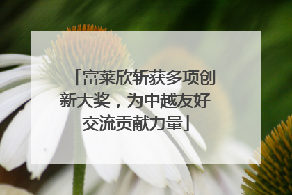 富莱欣斩获多项创新大奖，为中越友好交流贡献力量