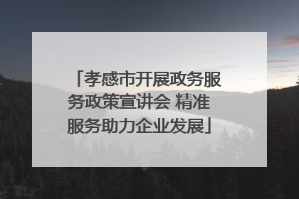 孝感市开展政务服务政策宣讲会 精准服务助力企业发展