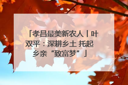 孝昌最美新农人丨叶双平：深耕乡土 托起乡亲“致富梦”