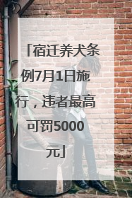 宿迁养犬条例7月1日施行，违者最高可罚5000元