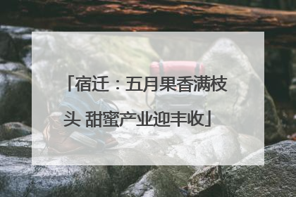 宿迁：五月果香满枝头 甜蜜产业迎丰收