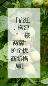 宿迁：构建“一核两翼”护企优商新格局