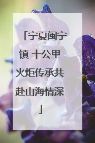 宁夏闽宁镇 十公里火炬传承共赴山海情深