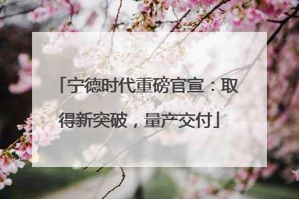 宁德时代重磅官宣：取得新突破，量产交付
