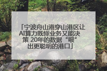 宁波舟山港穿山港区让AI算力既懂业务又能决策 20年的数据“喂”出更聪明的港口