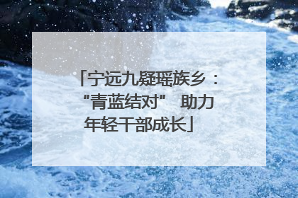 宁远九疑瑶族乡：“青蓝结对” 助力年轻干部成长