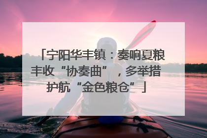 宁阳华丰镇：奏响夏粮丰收“协奏曲”，多举措护航“金色粮仓”