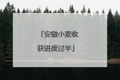 安徽小麦收获进度过半