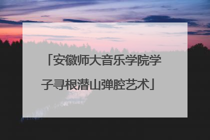 安徽师大音乐学院学子寻根潜山弹腔艺术