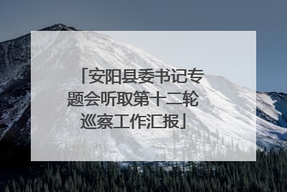 安阳县委书记专题会听取第十二轮巡察工作汇报