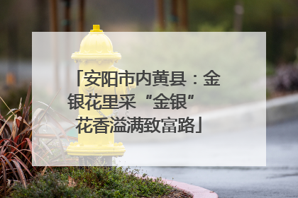 安阳市内黄县：金银花里采“金银” 花香溢满致富路
