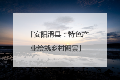 安阳滑县：特色产业绘就乡村图景