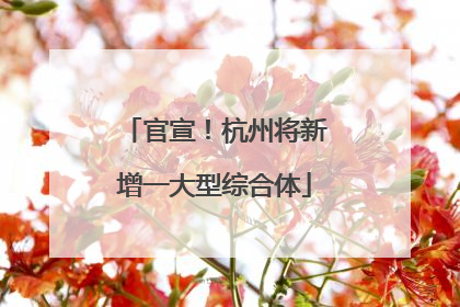 官宣！杭州将新增一大型综合体