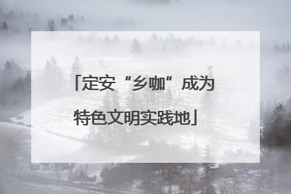 定安“乡咖”成为特色文明实践地
