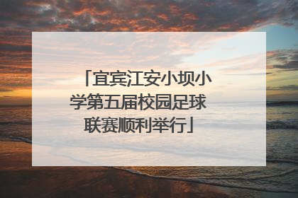 宜宾江安小坝小学第五届校园足球联赛顺利举行