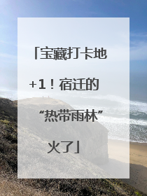 宝藏打卡地+1！宿迁的“热带雨林”火了