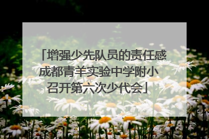 增强少先队员的责任感 成都青羊实验中学附小召开第六次少代会