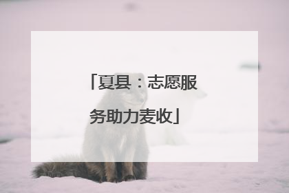 夏县：志愿服务助力麦收