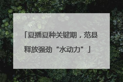 夏播夏种关键期，范县释放强劲“水动力”