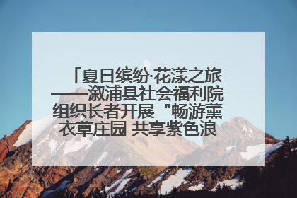 夏日缤纷·花漾之旅——溆浦县社会福利院组织长者开展“畅游薰衣草庄园 共享紫色浪漫”户外活动