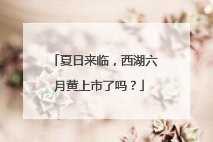 夏日来临，西湖六月黄上市了吗？