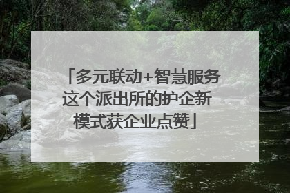 多元联动+智慧服务 这个派出所的护企新模式获企业点赞