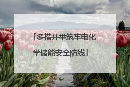 多措并举筑牢电化学储能安全防线