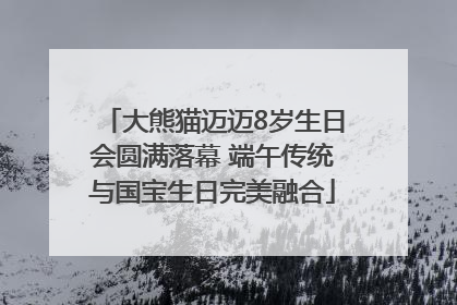 大熊猫迈迈8岁生日会圆满落幕 端午传统与国宝生日完美融合