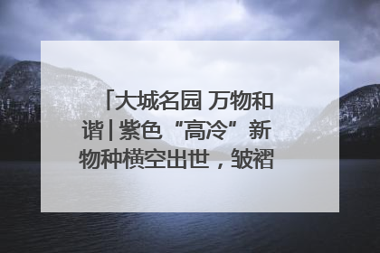 大城名园 万物和谐│紫色“高冷”新物种横空出世，皱褶叶片暗藏进化密码