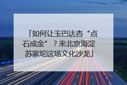 如何让玉巴达杏“点石成金”？来北京海淀苏家坨这场文化沙龙