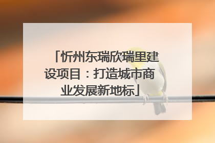 忻州东瑞欣瑞里建设项目：打造城市商业发展新地标