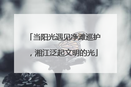 当阳光遇见净滩巡护，湘江泛起文明的光