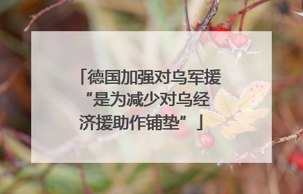 德国加强对乌军援 “是为减少对乌经济援助作铺垫”