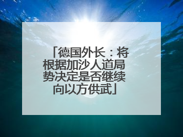 德国外长：将根据加沙人道局势决定是否继续向以方供武