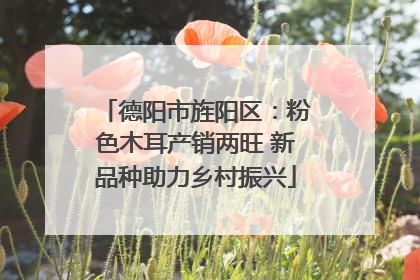 德阳市旌阳区：粉色木耳产销两旺 新品种助力乡村振兴