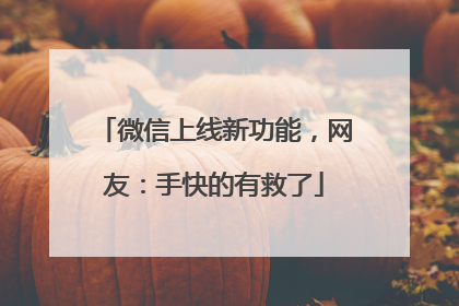 微信上线新功能，网友：手快的有救了
