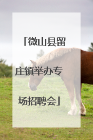 微山县留庄镇举办专场招聘会