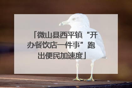 微山县西平镇“开办餐饮店一件事”跑出便民加速度