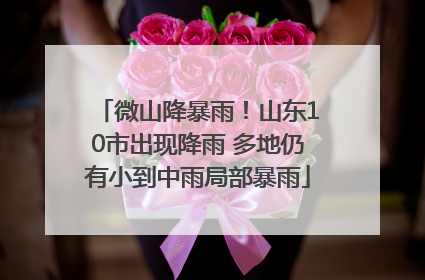 微山降暴雨！山东10市出现降雨 多地仍有小到中雨局部暴雨
