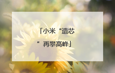 小米“造芯”再攀高峰