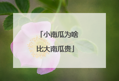 小南瓜为啥比大南瓜贵