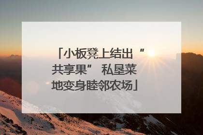 小板凳上结出“共享果” 私垦菜地变身睦邻农场