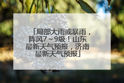 局部大雨或暴雨，阵风7～9级！山东最新天气预报，济南最新天气预报
