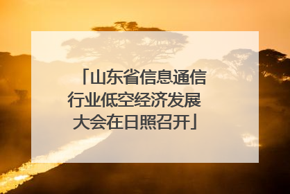 山东省信息通信行业低空经济发展大会在日照召开