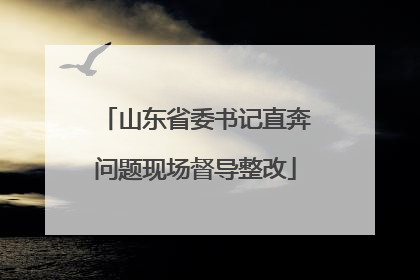 山东省委书记直奔问题现场督导整改