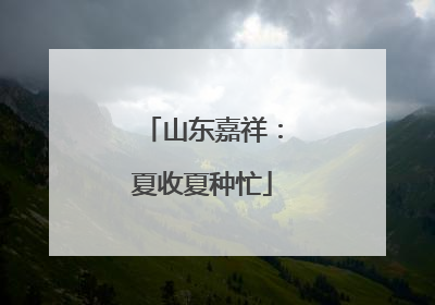 山东嘉祥：夏收夏种忙