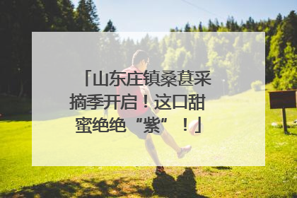 山东庄镇桑葚采摘季开启！这口甜蜜绝绝“紫”！