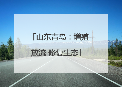 山东青岛：增殖放流 修复生态