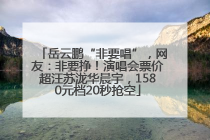 岳云鹏“非要唱”，网友：非要挣！演唱会票价超汪苏泷华晨宇，1580元档20秒抢空