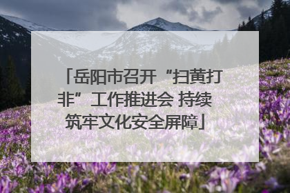 岳阳市召开“扫黄打非”工作推进会 持续筑牢文化安全屏障